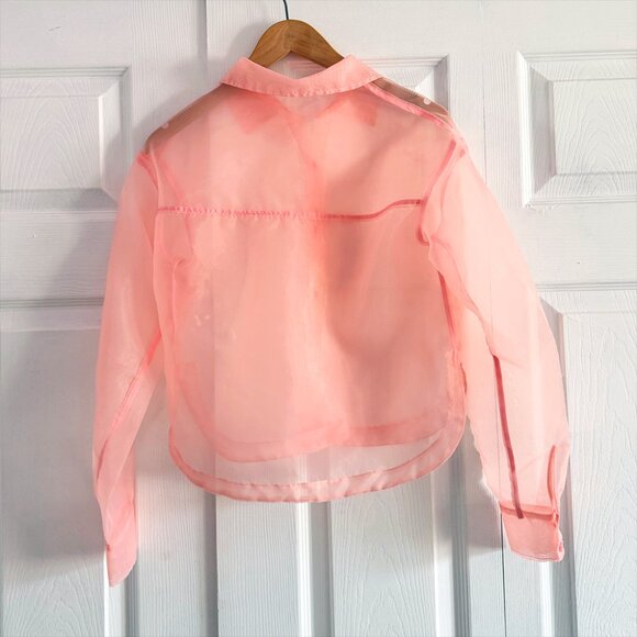 Rachel Zoe Sheer Organza Button Up Blouse - Blush - Picture 5 of 6